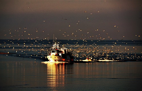 KAVALA

Cultural heritage / fishing traditions / fishing communities
